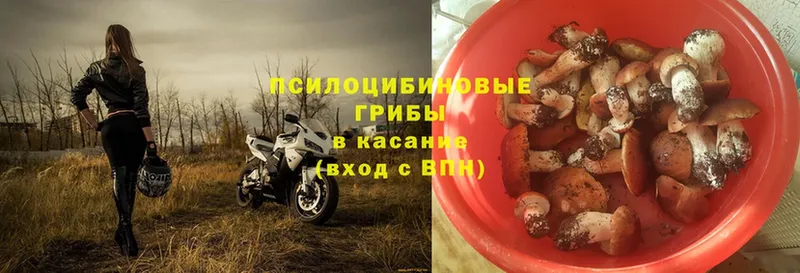 Галлюциногенные грибы Psilocybe  МЕГА как войти  Армавир 